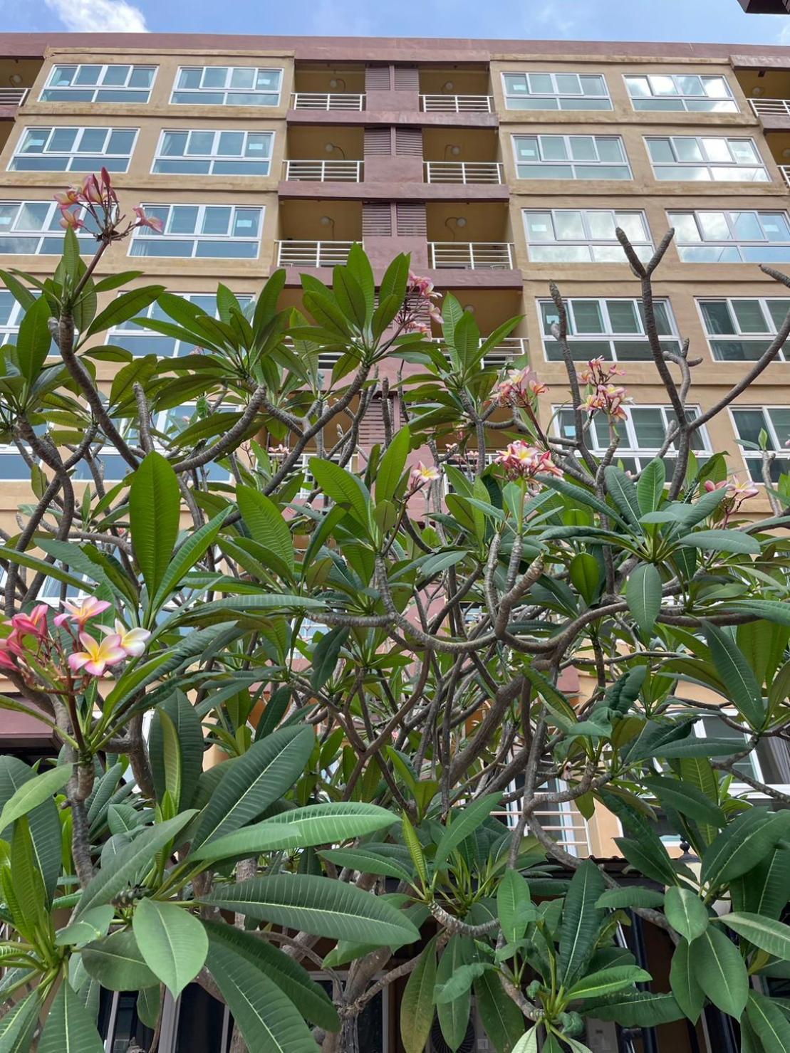 H2Do Hotel Ban Khlong Sanam Phli Esterno foto